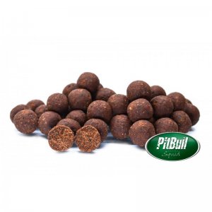 Boilies - Pitbull Squid