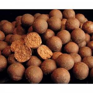 Boilies - Pitbull Squid