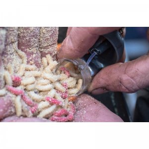 Clik Cap Feeder medium