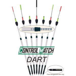 Control Match with Dart
