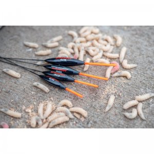 F1 Maggot