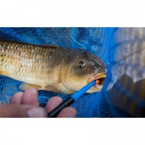 Floater - Disgorger Knot Picker