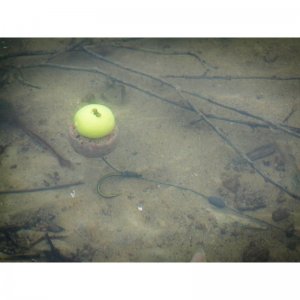 Fluoro Pop Up 15 mm, 35 g