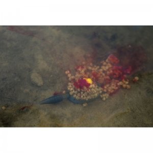 ICS IN-LINE Dura Flat Method - XL