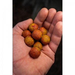 Master Carp Boilies 20 mm, 250 g
