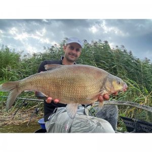 Mikron Wafters 4x6mm 50ml