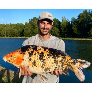 Methodmix Competition Carp XXL 800g