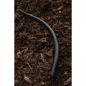 Carp´R´Us Vnadící Kobra Carbon Sky Sword Superfast