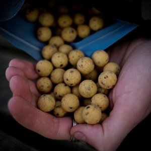 Boilies Munch Baits Cream Seed 5kg