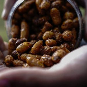 Partikl Munch Baits Jumbos in Cola 450ml