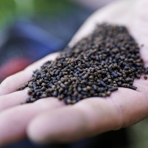 Pelety Munch Baits Salmon Micro Pellets 2 L