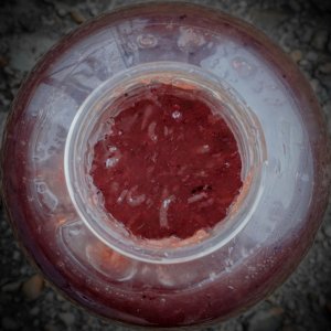 Tekutá potrava Munch Baits Raw Krill 500ml