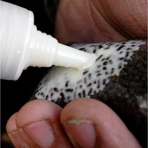Juice Munch Baits Sweet Shop Special Edition 100ml