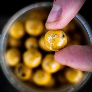 Dipované boilies Munch Baits Cream Seed 200ml