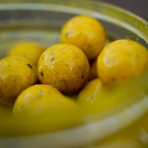 Dipované boilies Munch Baits Citrus Nut 200ml