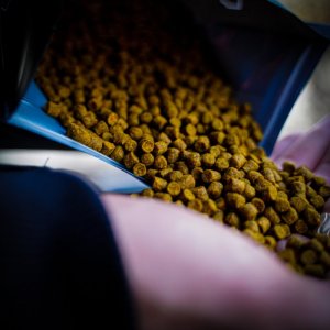 Pelety Munch Baits Citrus Nut 5kg