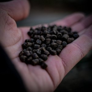 Pelety Munch Baits Bio Marine 5kg