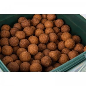 Boilies CARP ONLY Krillic (Krill a Česnek) 1kg