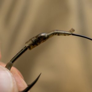 Outline FleckTone - Line Aligners