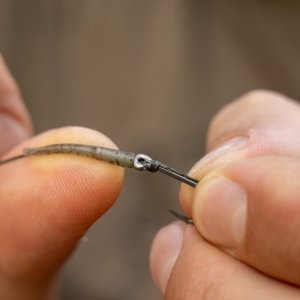 Outline FleckTone - Line Aligners