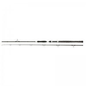 Sumcový prut Penn Legion Cat Silver Power Allround 2,40 m 200 - 400 g 2 díly