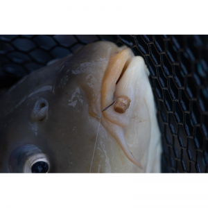 Hookable Bait Bands