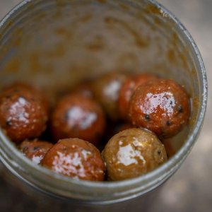 Large Hookbait Pots