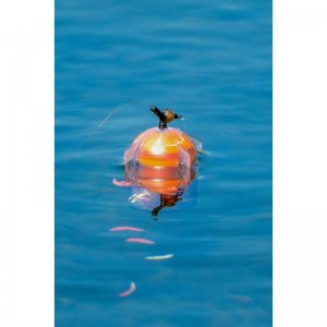 Floating Window Combi Feeder Fluoro Top
