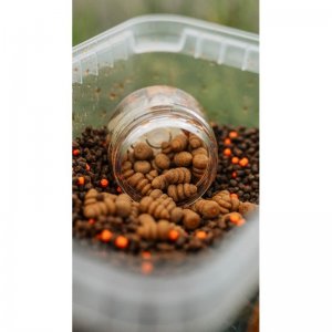 FeederBait - Multipack 3w1