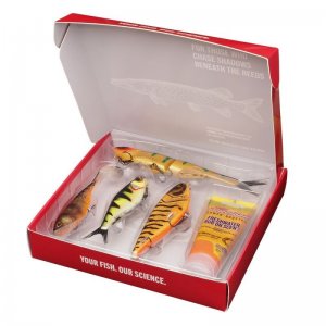 Dárková Krabice Berkley Gift Box Štika