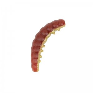 Vosí larva 2021 Berkley Powerbait Honey Worm 2,5cm - 55ks