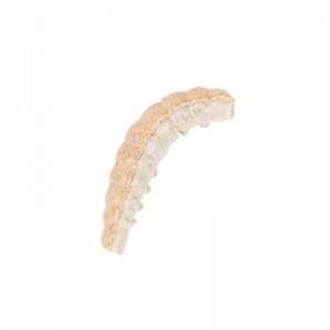 Vosí larva 2021 Berkley Powerbait Honey Worm 2,5cm - 55ks