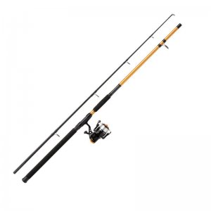Sumcový prut s navijákem FD Mitchell Catch Pro Catfish 2,70m 100-300g
