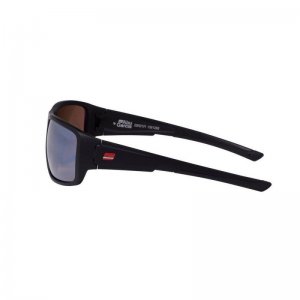 Polarizační Brýle Abu Garcia Revo Silver